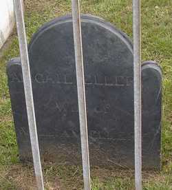 signer's wife grave
