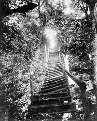 steep stairs that led to the John Rankin house